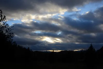 DSC_2948 (Large).JPG